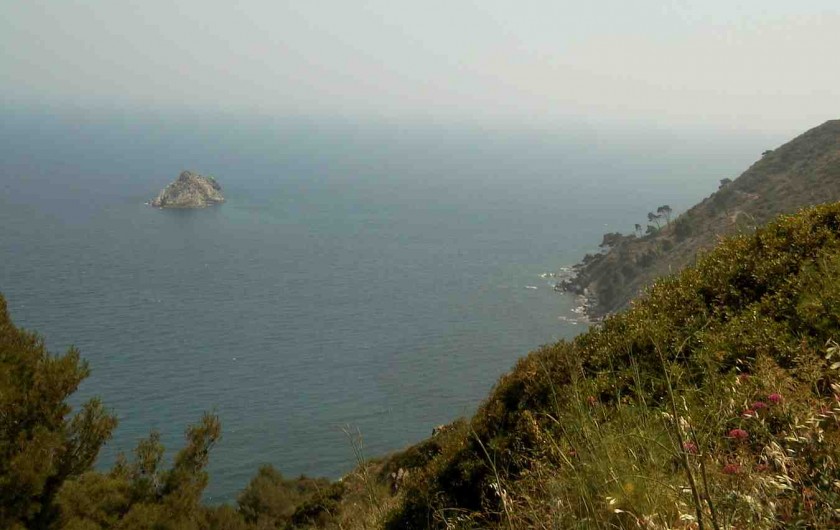 Location de vacances - Studio à La Seyne-sur-Mer