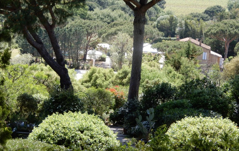 Location de vacances - Chambre d'hôtes à Ramatuelle - Jardin