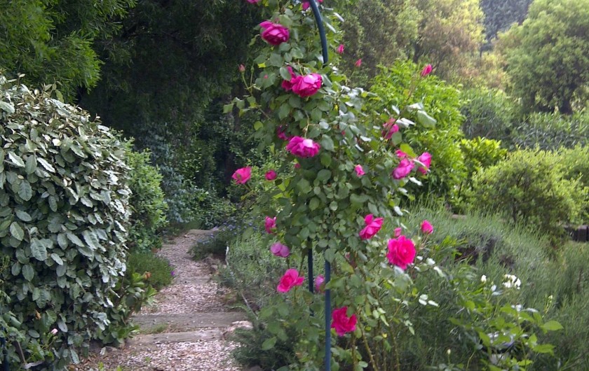 Location de vacances - Chambre d'hôtes à Ramatuelle - Vue Jardin
