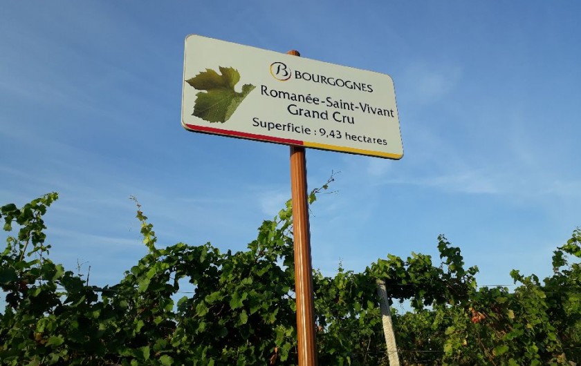 Location de vacances - Villa à Vosne-Romanée - Vignoble de Vosne domaine de la Romanée-Conti