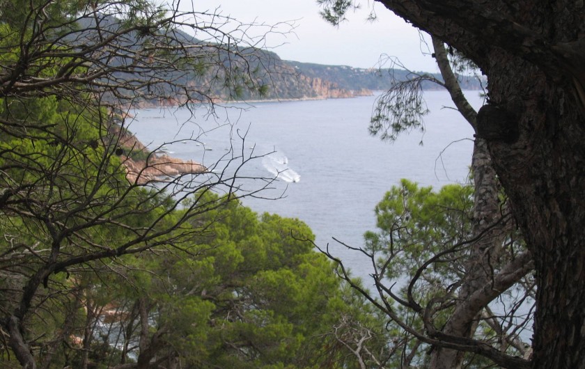 Location de vacances - Appartement à Tossa de Mar