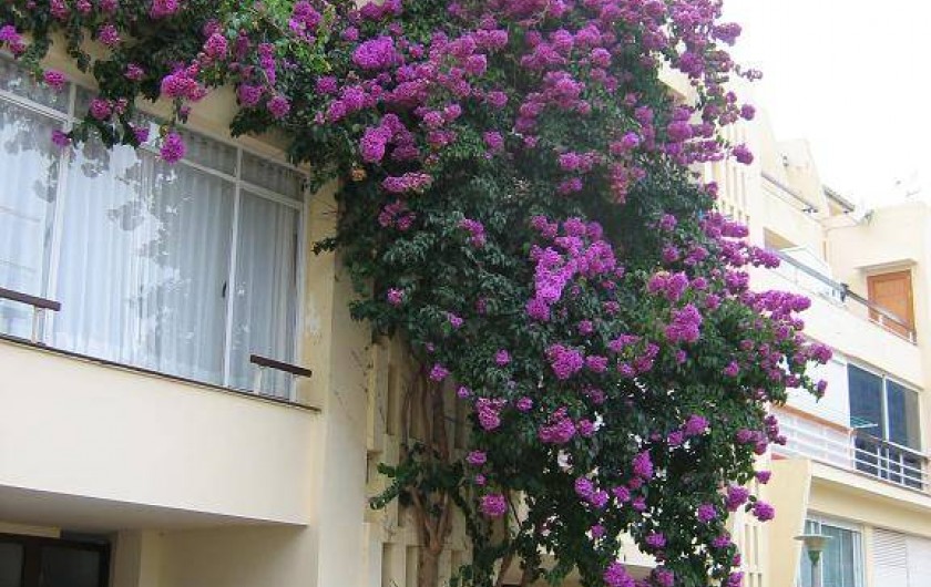 Location de vacances - Appartement à Tossa de Mar