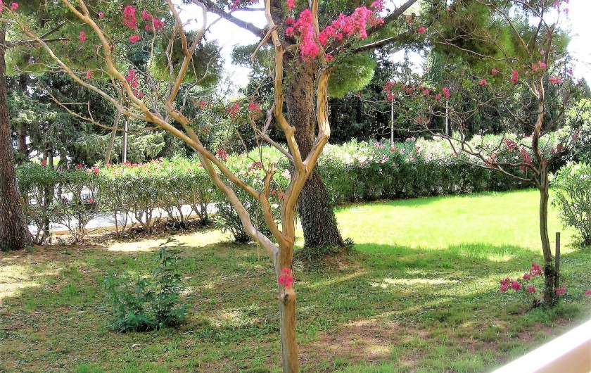 Location de vacances - Studio à Bormes-les-Mimosas - vue du balcon
