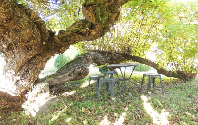 Location de vacances - Chambre d'hôtes à Lucbardez-et-Bargues