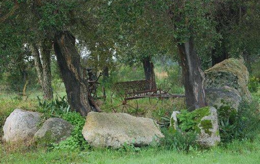 Location de vacances - Gîte à Porto-Vecchio