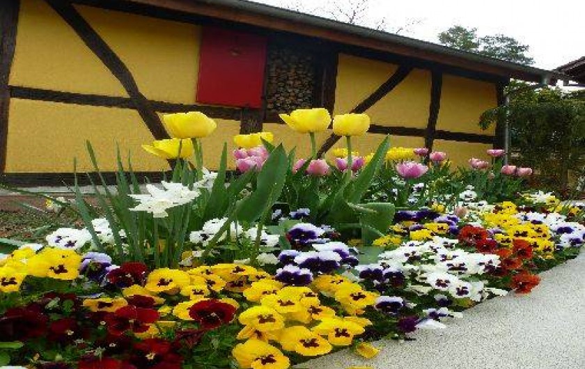 Location de vacances - Gîte à Raedersdorf