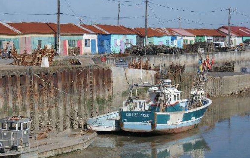 Location de vacances - Villa à Le Grand-Village-Plage