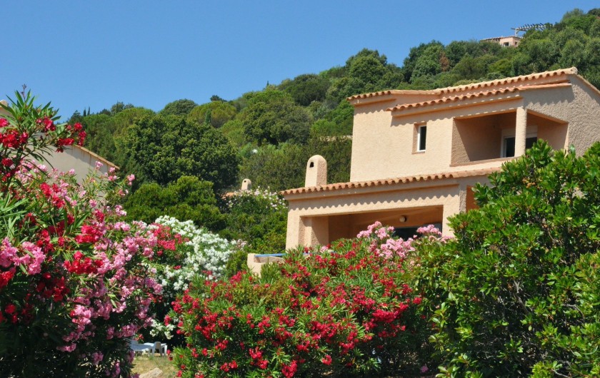 Location de vacances - Villa à Porto-Vecchio