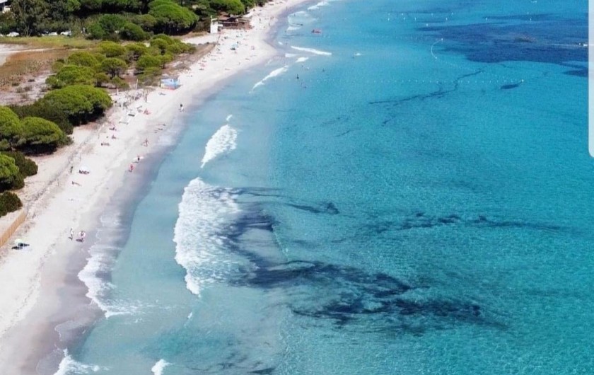 Location de vacances - Villa à Porto-Vecchio