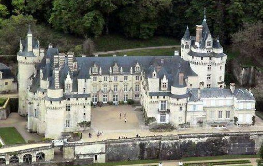 Location de vacances - Gîte à Rigny-Ussé