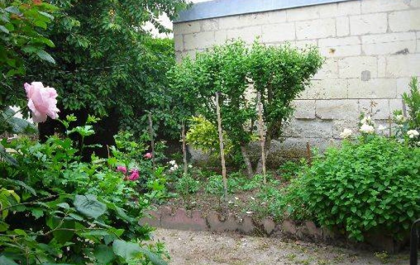Location de vacances - Gîte à Rigny-Ussé