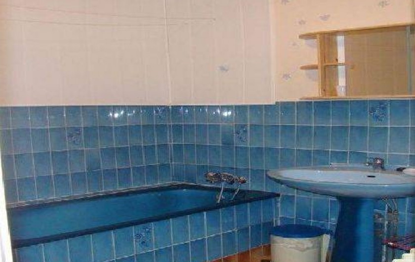 Location de vacances - Gîte à Bouvante - salle de bain + rideau de douche actuellement