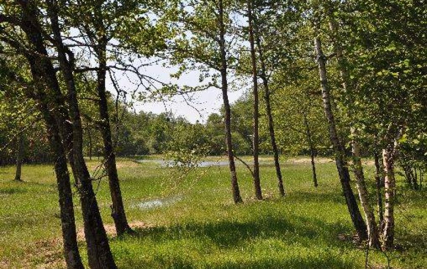 Location de vacances - Maison - Villa à Jouy-le-Potier