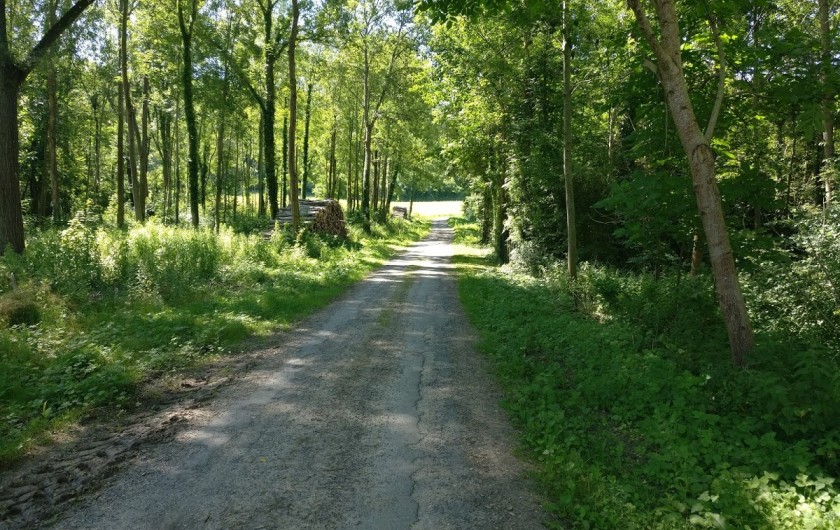 Location de vacances - Gîte à Chevregny - VOIE VERTE EN BAS DU VILLAGE