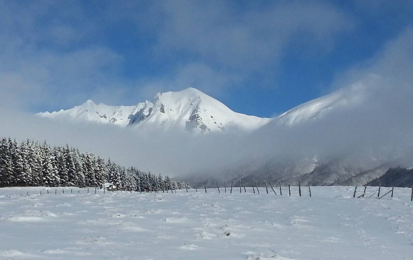 Location de vacances - Appartement à Chastreix - PAYSAGE HIVERNAL DU SANCY