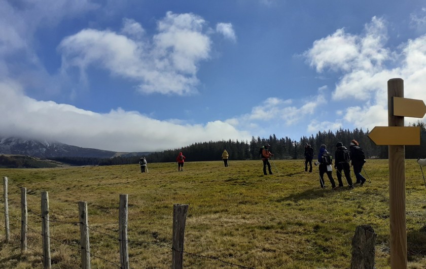 Location de vacances - Appartement à Chastreix - RANDO DANS LA RESERVE NATURELLE A 2 PAS DU GITE