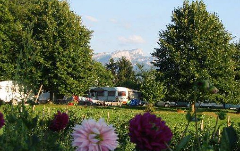 Location de vacances - Camping à Saint-Franc