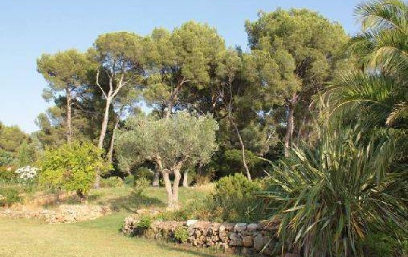 Location de vacances - Villa à Saint-Raphaël