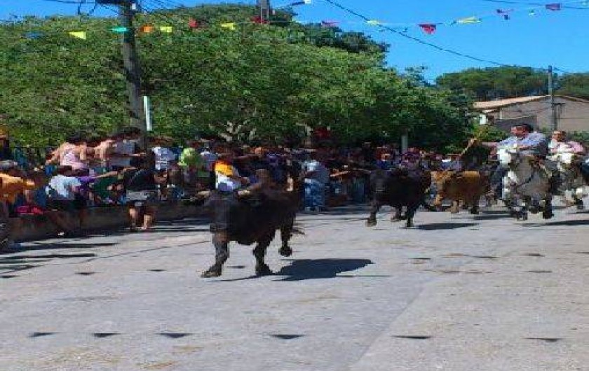 Location de vacances - Gîte à Aigues-Vives