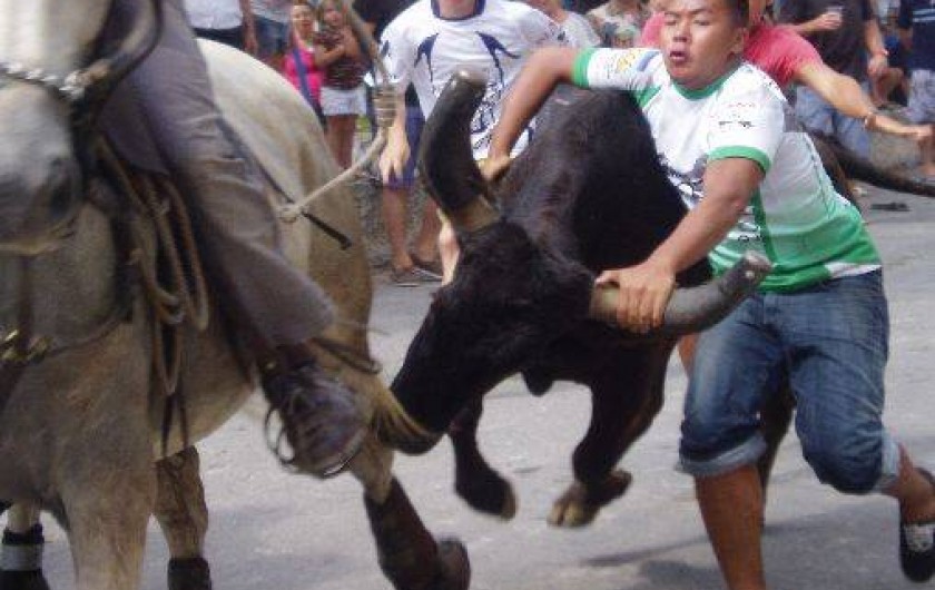 Location de vacances - Gîte à Aigues-Vives