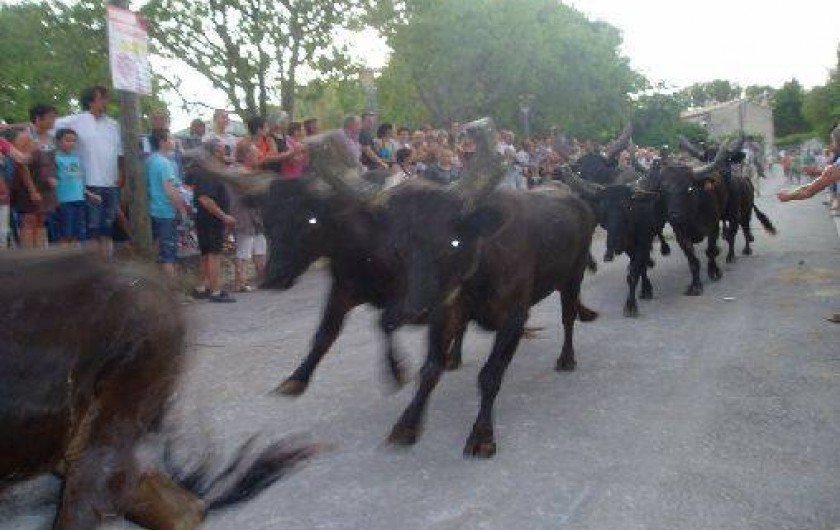 Location de vacances - Gîte à Aigues-Vives
