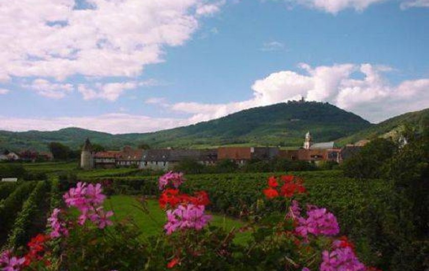 Location de vacances - Maison - Villa à Saint-Hippolyte - village de Saint Hippolyte