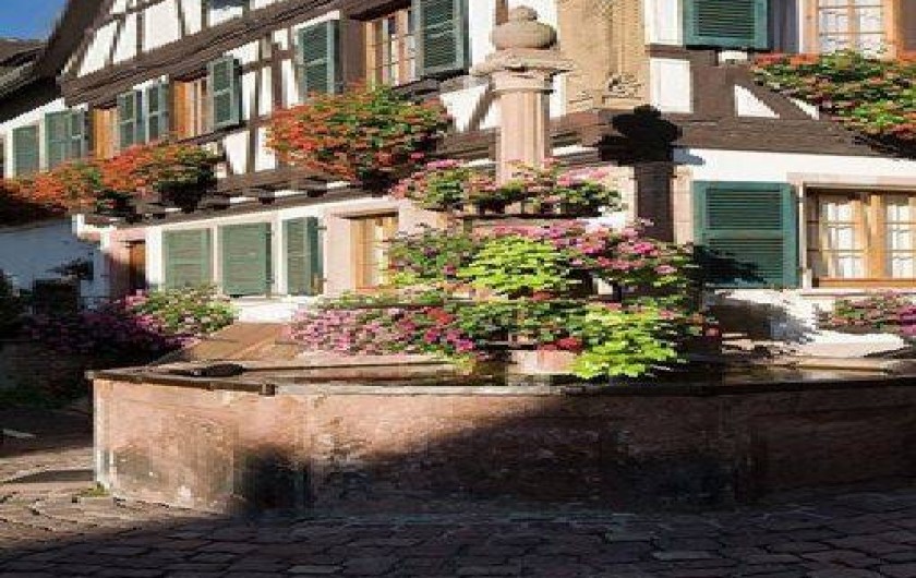 Location de vacances - Maison - Villa à Saint-Hippolyte - fontaine de la mairie