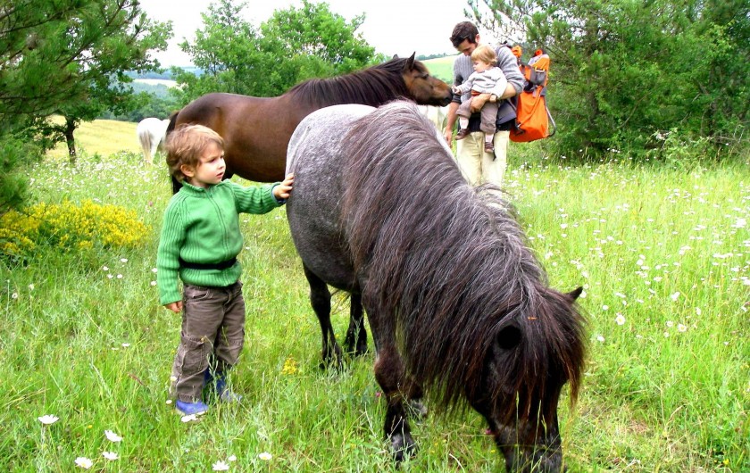 Location de vacances - Gîte à Lamaguère