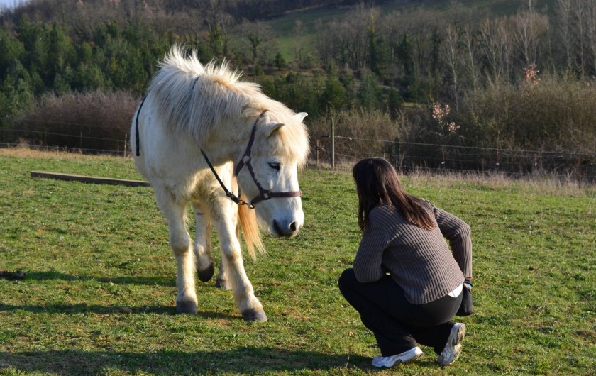 Location de vacances - Gîte à Lamaguère