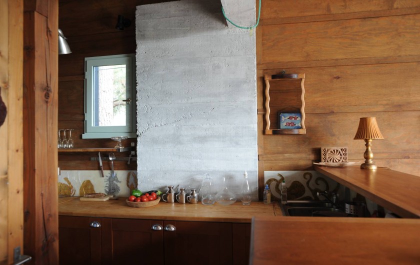 Location de vacances - Chalet à Le Cap Ferret - Coin cuisine américaine .