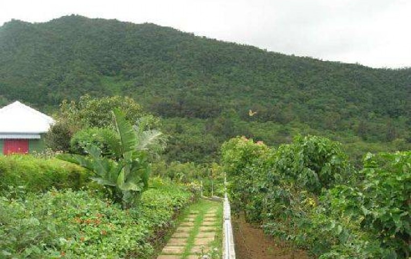 Location de vacances - Bungalow - Mobilhome à Saint-Louis