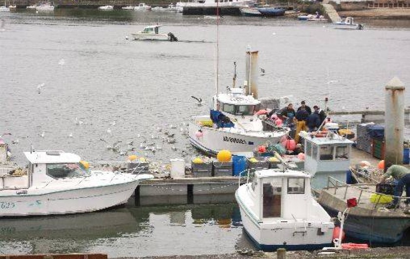 Location de vacances - Appartement à Audierne