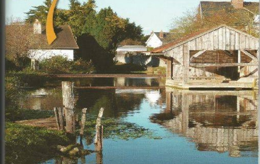 Location de vacances - Gîte à Chouzy-sur-Cisse