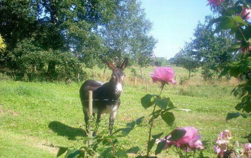 Location de vacances - Gîte à La Bazouge-du-Désert