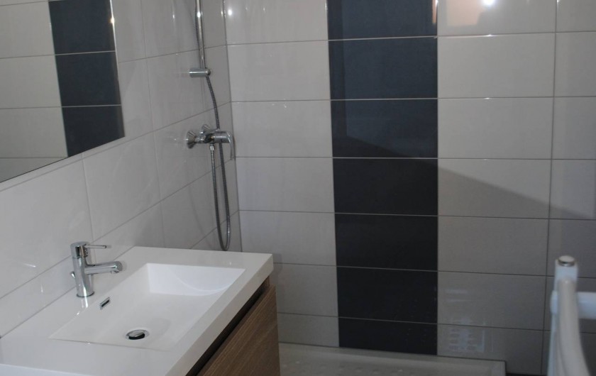 Location de vacances - Appartement à Colmar - salle de bain