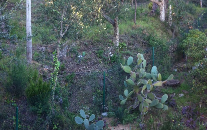 Location de vacances - Appartement à Tossa de Mar - ACCÈS RÉSIDENCE COTÉ MONTAGNE