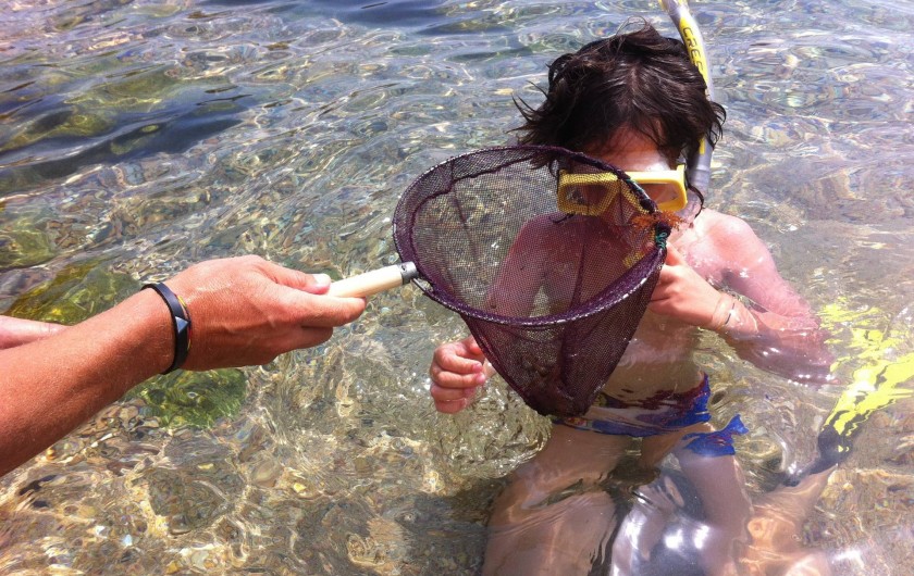 Location de vacances - Appartement à Tossa de Mar - LES EAUX SONT CRISTALLINES