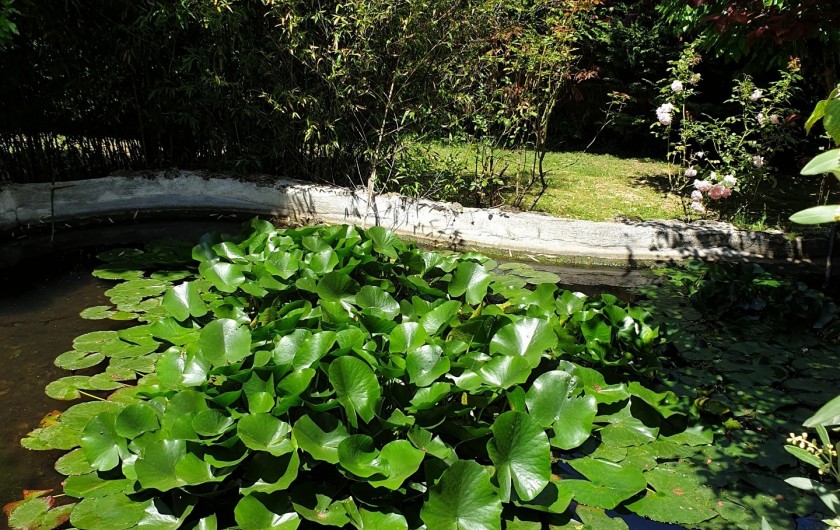 Location de vacances - Studio à La Tour-d'Aigues