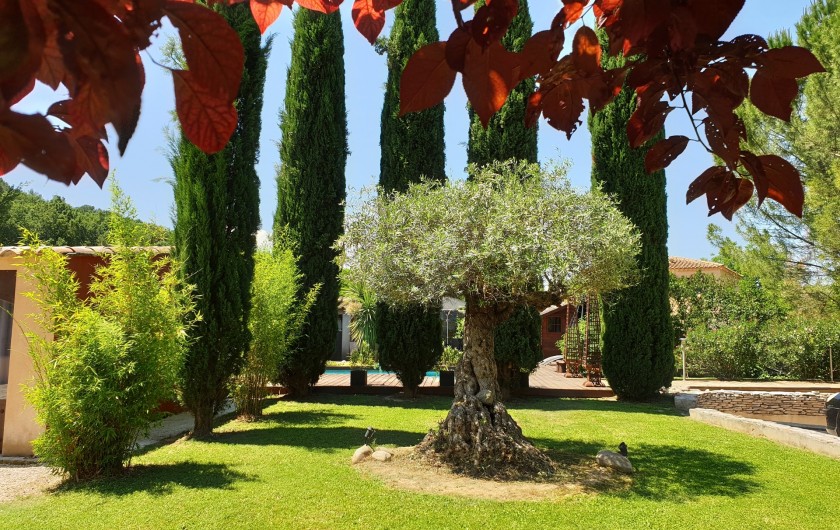 Location de vacances - Studio à La Tour-d'Aigues