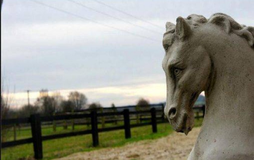 Location de vacances - Gîte à Roncherolles-en-Bray