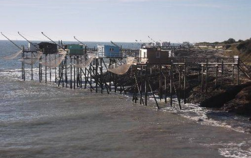 Location de vacances - Bungalow - Mobilhome à La Palmyre