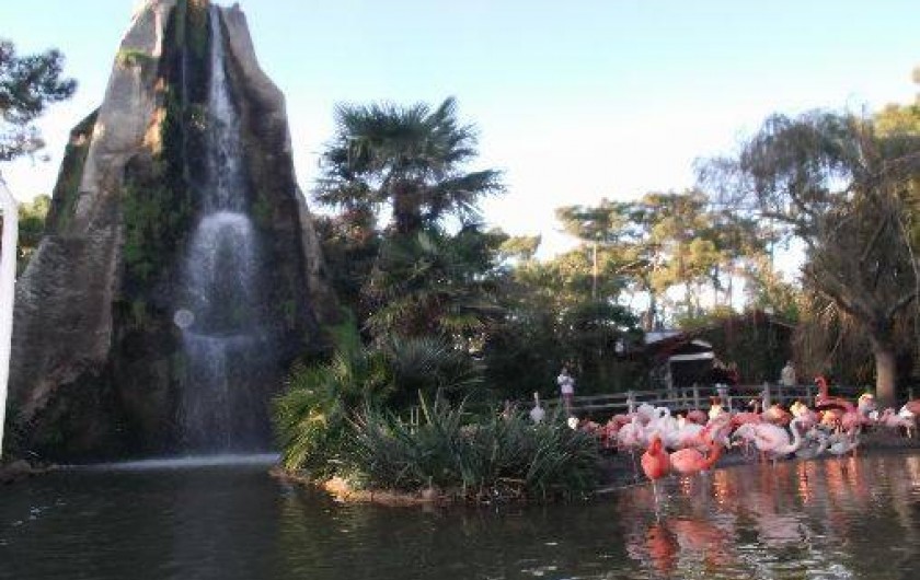 Location de vacances - Bungalow - Mobilhome à La Palmyre