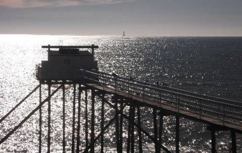 Location de vacances - Bungalow - Mobilhome à La Palmyre