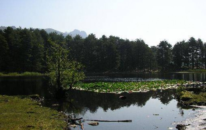 Location de vacances - Chalet à Orto - lac de crena