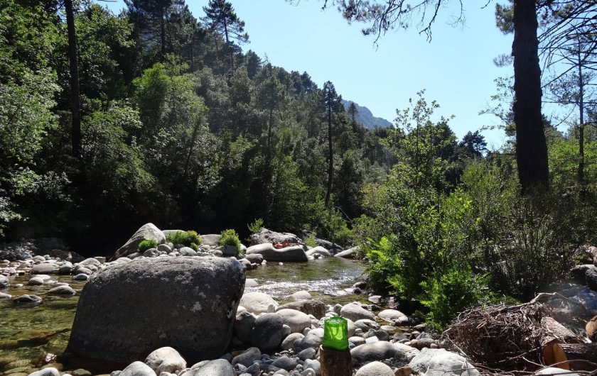 Location de vacances - Chalet à Orto - baignade en rivière à 10 mn
