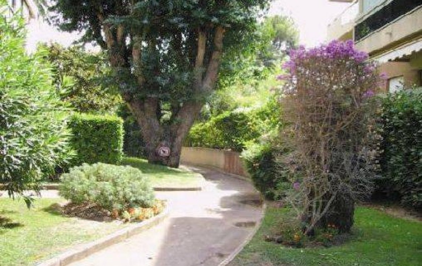 Location de vacances - Appartement à Cannes