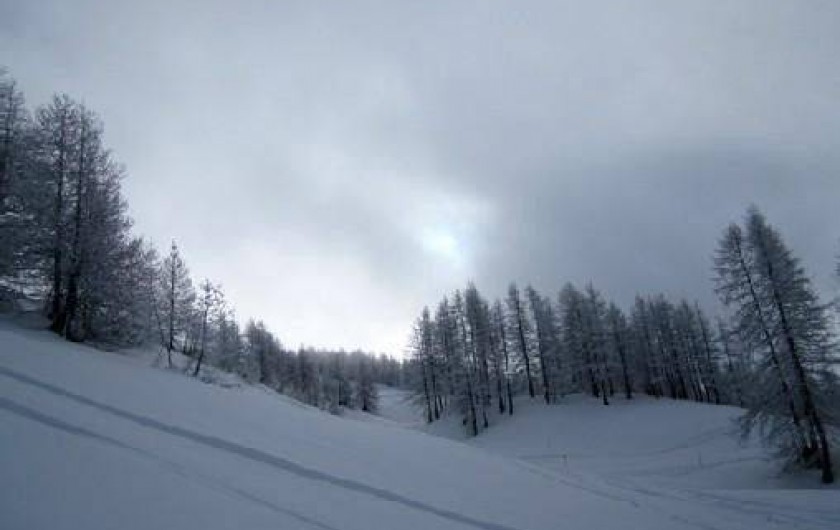 Location de vacances - Appartement à Abries