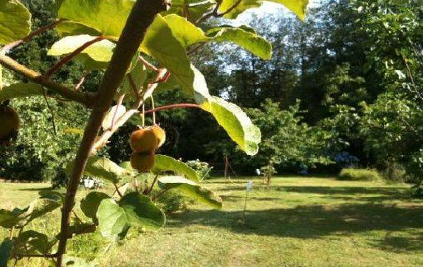 Location de vacances - Villa à Creysse