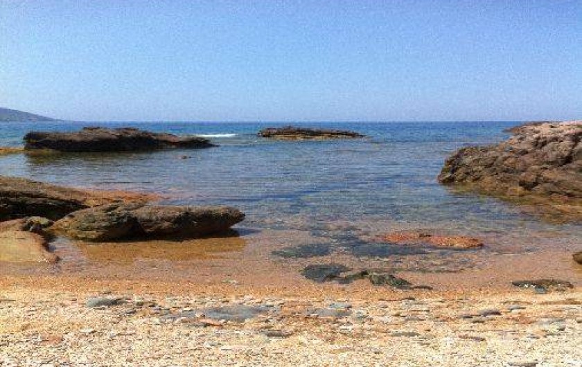 Location de vacances - Villa à Calcatoggio - Crique