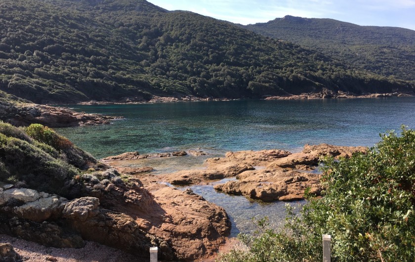 Location de vacances - Villa à Calcatoggio - Crique